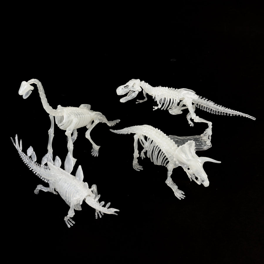 Glow In The Dark Dinosaur Skeleton Kit