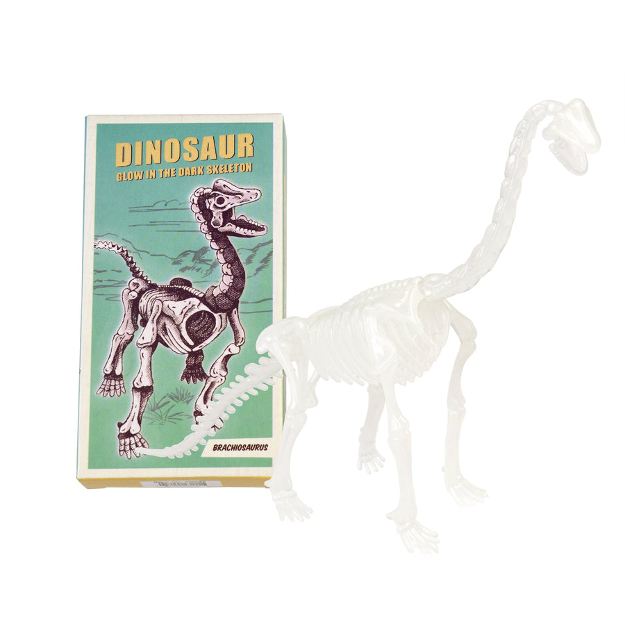 Glow In The Dark Dinosaur Skeleton Kit