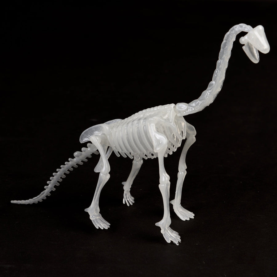 Glow In The Dark Dinosaur Skeleton Kit