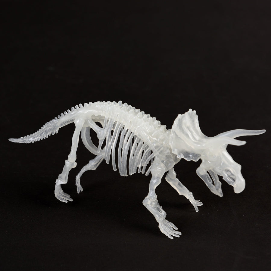 Glow In The Dark Dinosaur Skeleton Kit