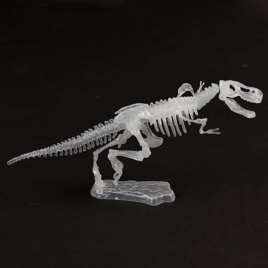 Glow In The Dark Dinosaur Skeleton Kit