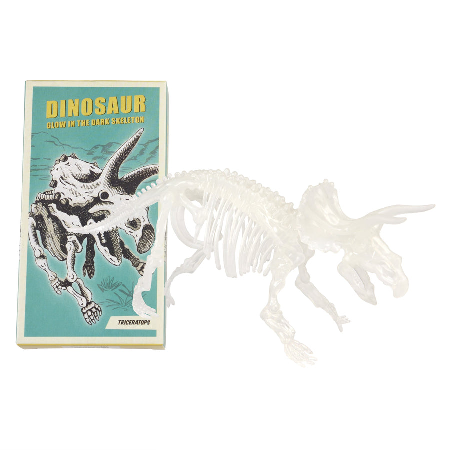 Glow In The Dark Dinosaur Skeleton Kit