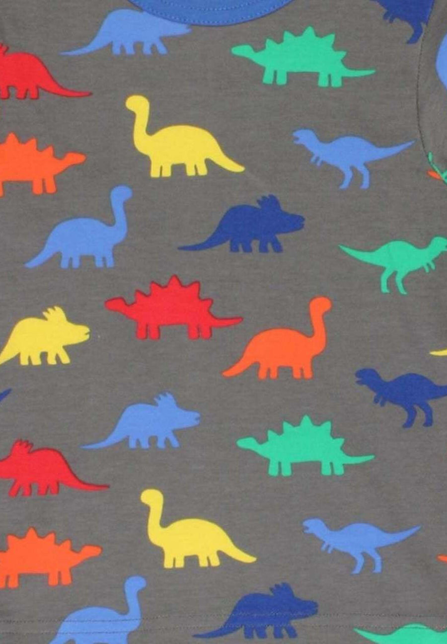 Langarmshirt aus Bio Baumwolle mit Dino Print