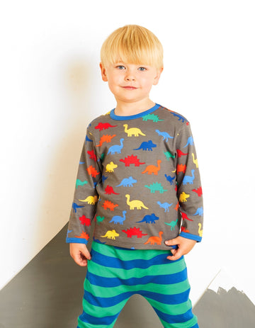 Langarmshirt aus Bio Baumwolle mit Dino Print