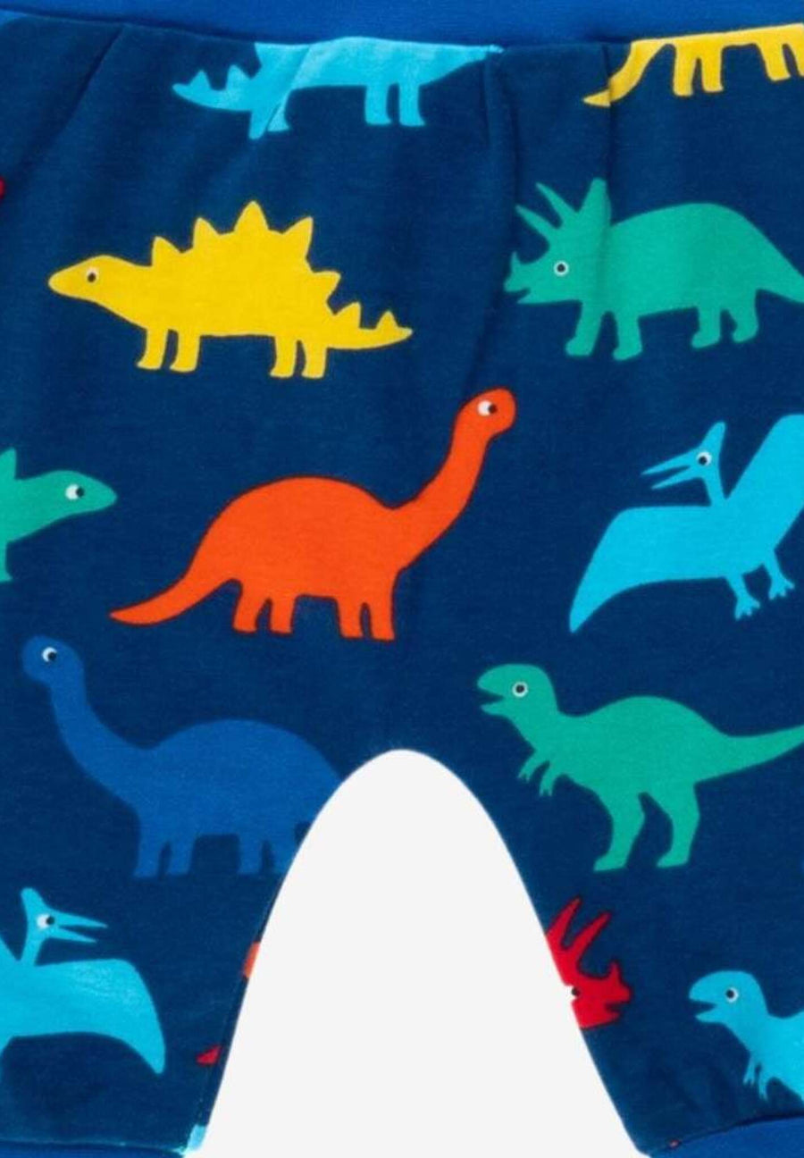 Bio "Baumwoll-Yoga Pants" mit buntem Regenbogen Dinosaurier Aufdruck