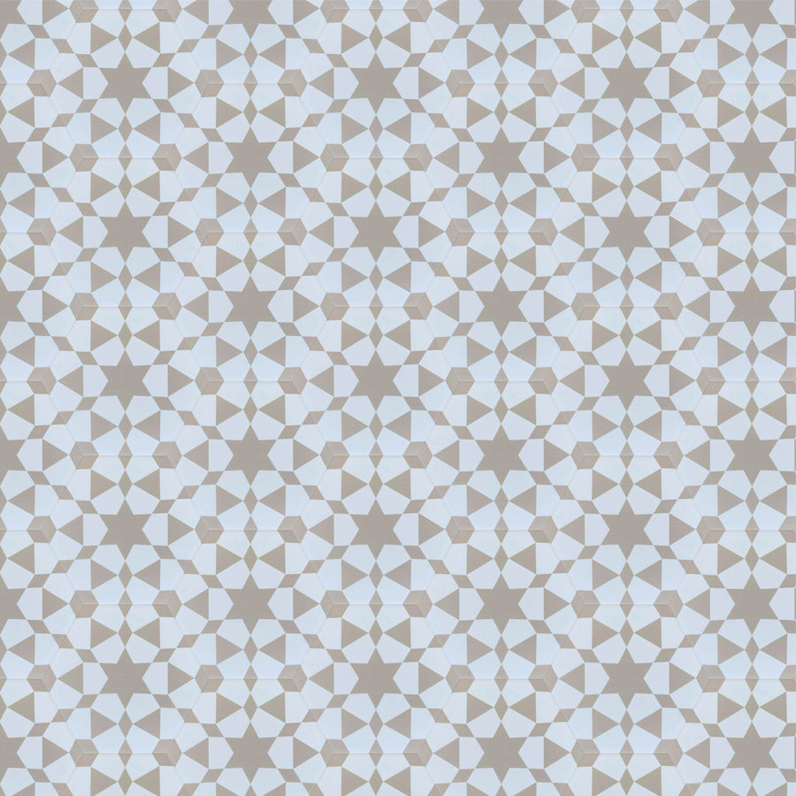 Zeena hexagon tile- beige/white